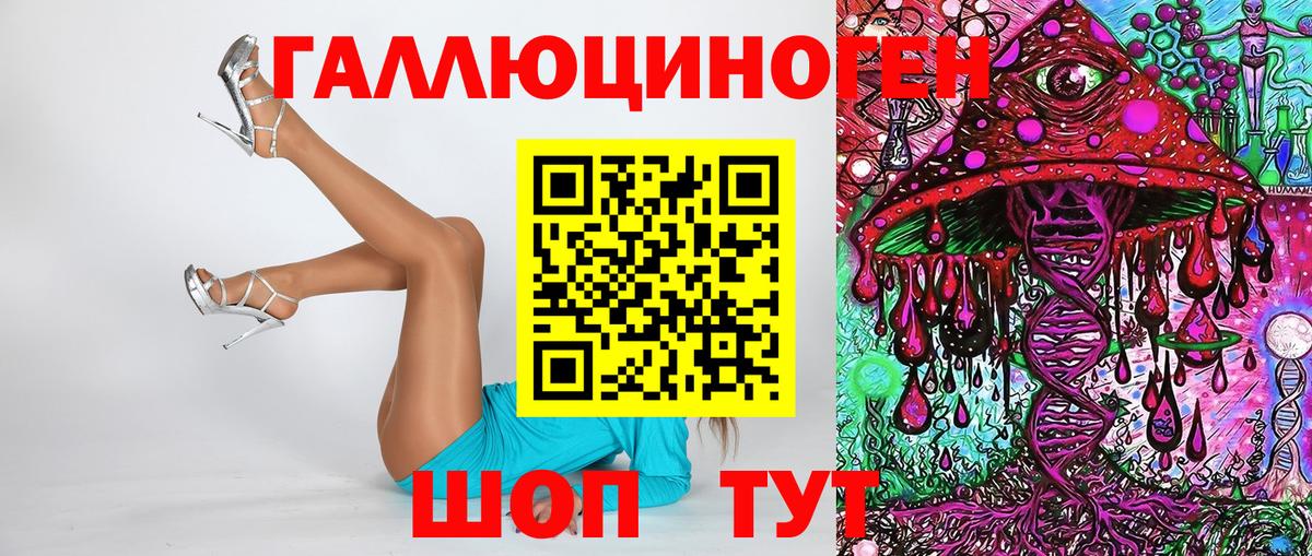 Галлюциногенные грибы Psilocybine cubensis Гулькевичи