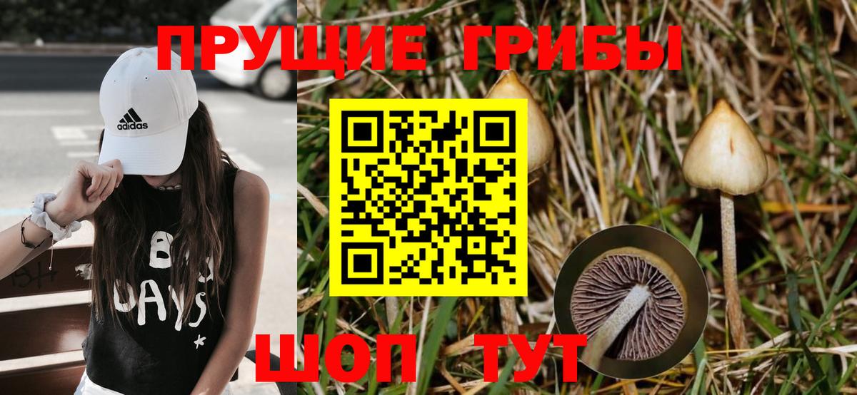 Псилоцибиновые грибы ЛСД  Галлюциногенные грибы Cubensis  Вход с VPN  Гулькевичи 